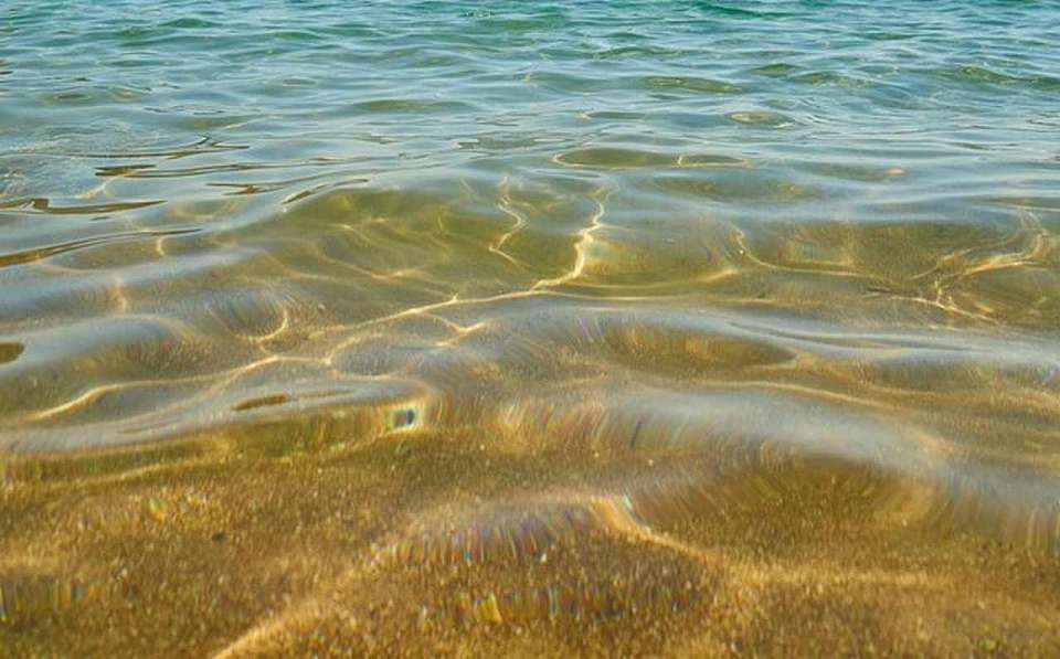 Сексом на пляже под Воронежем занимаются бездомные