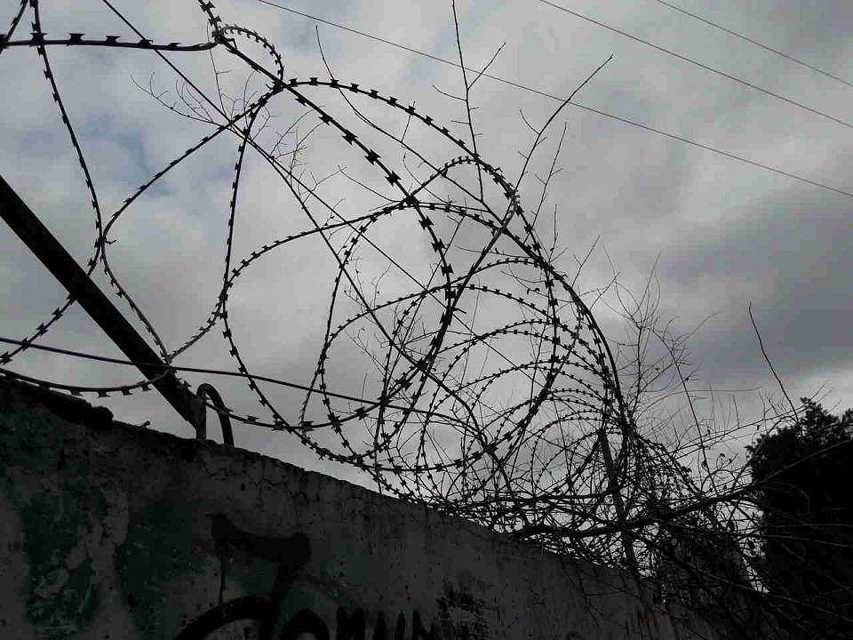 Уголовное дело против криминального авторитета возбудили в Воронежской области