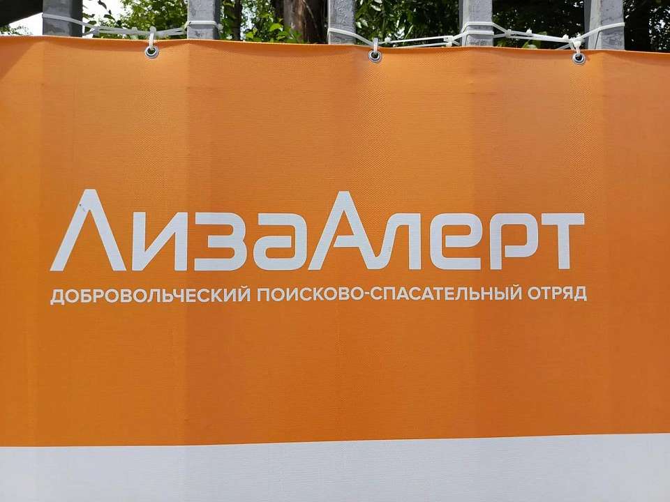 Пятеро пропавших без вести в Воронежской области найдены погибшими