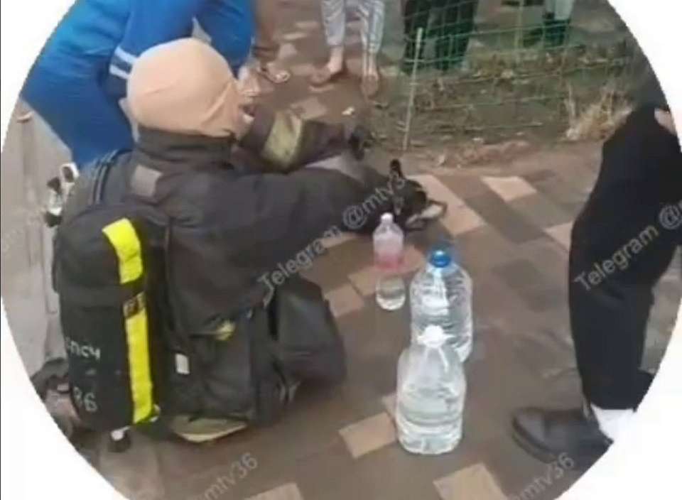 Собаку с хозяйкой из горящей квартиры в воронежской многоэтажке спас сотрудник МЧС