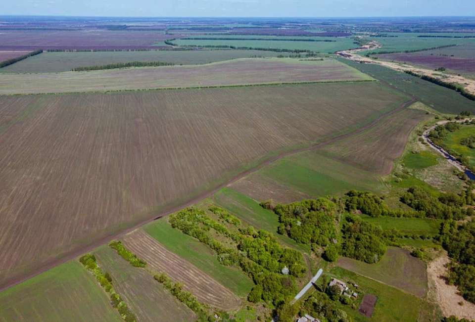 Вред заморозки урожаю в Воронежской области не нанесли