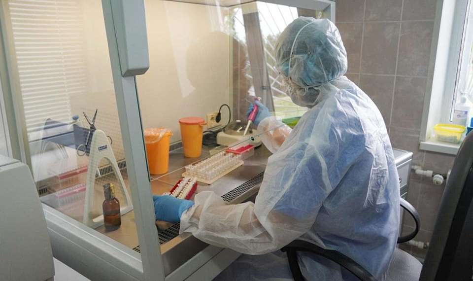 О фейковом документе про риск заражения гепатитом А предупредили воронежцев