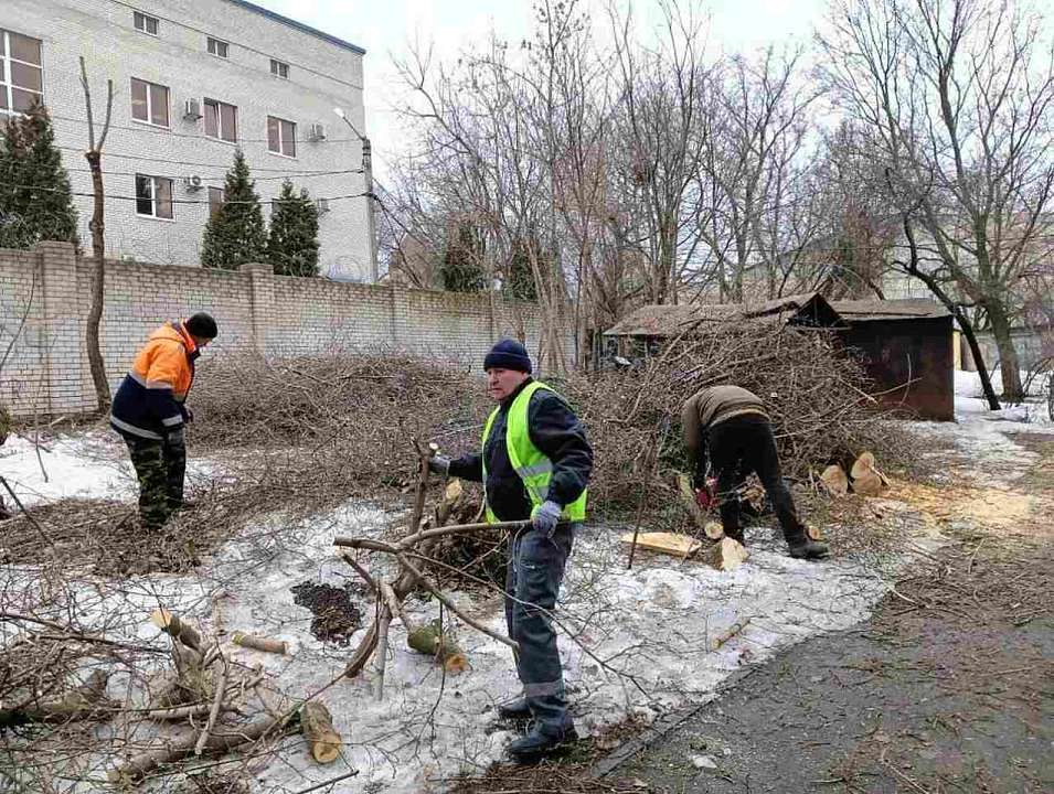 Воронежцам рассказали, где находится центр трудового энтузиазма