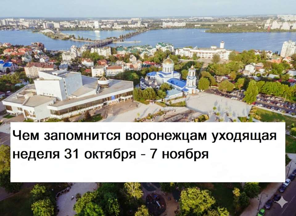 Чем запомнилась в Воронеже неделя с 31 октября по 7 ноября