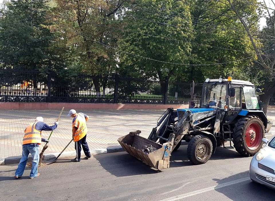 В Центральном районе Воронеже прошел санитарный день