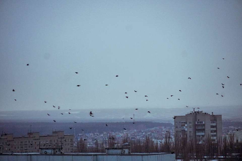 О погоде на четверг, 6 февраля, рассказали воронежские синоптики