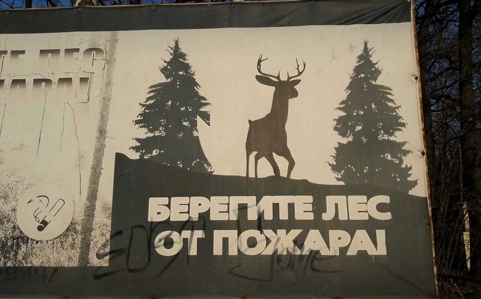 Три лесных пожара случились на землях воронежского лесного фонда с начала года