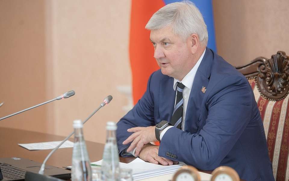 Развитие индустрии детских товаров обсудили на совещании у воронежского губернатора