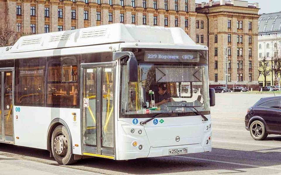 Об изменении популярного автобусного маршрута предупредили воронежцев