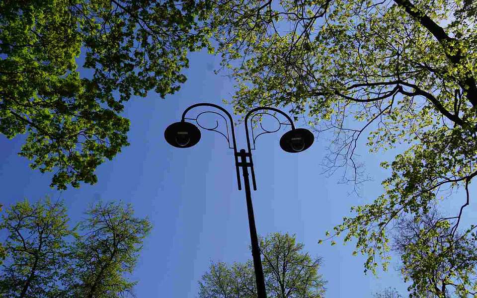 Холодные ночи и солнечные дни ожидаются в выходные в Воронежской области