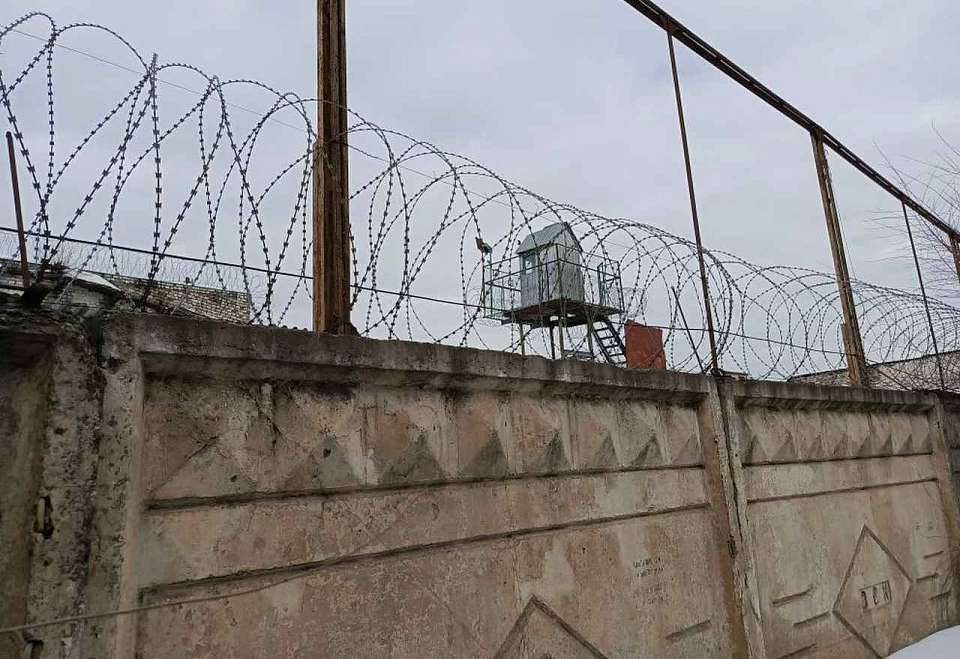 Житель Воронежа получил 13 лет колонии строгого режима за госизмену