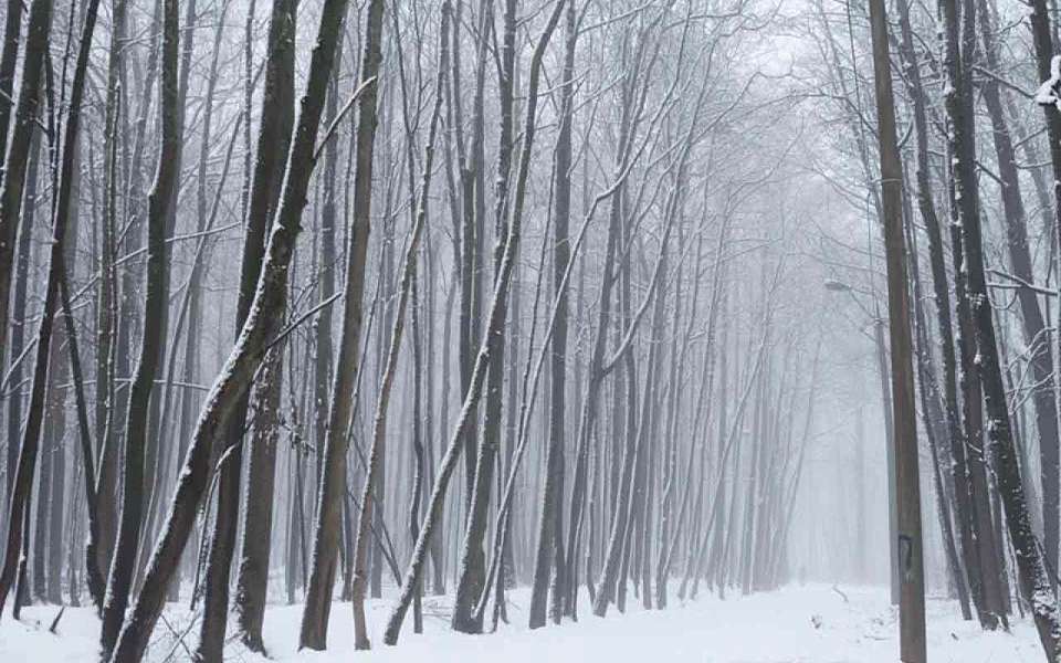 Без вести пропали 16 человек в Воронежской области