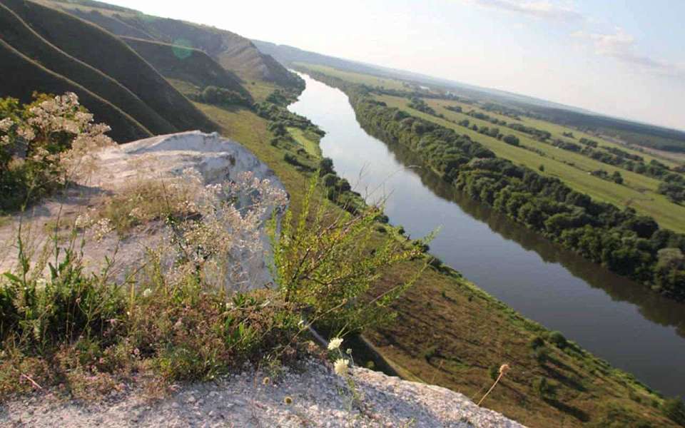 Санаторий «Белая горка» на берегу Дона ликвидируют в Воронежской области