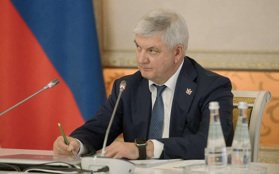 Анализ рождаемости по социальным группам затребовал губернатор Воронежской области