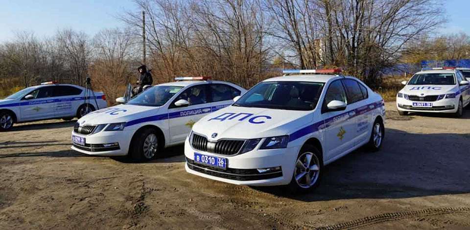Массовые проверки водителей проведут госавтоинспекторы на воронежских дорогах