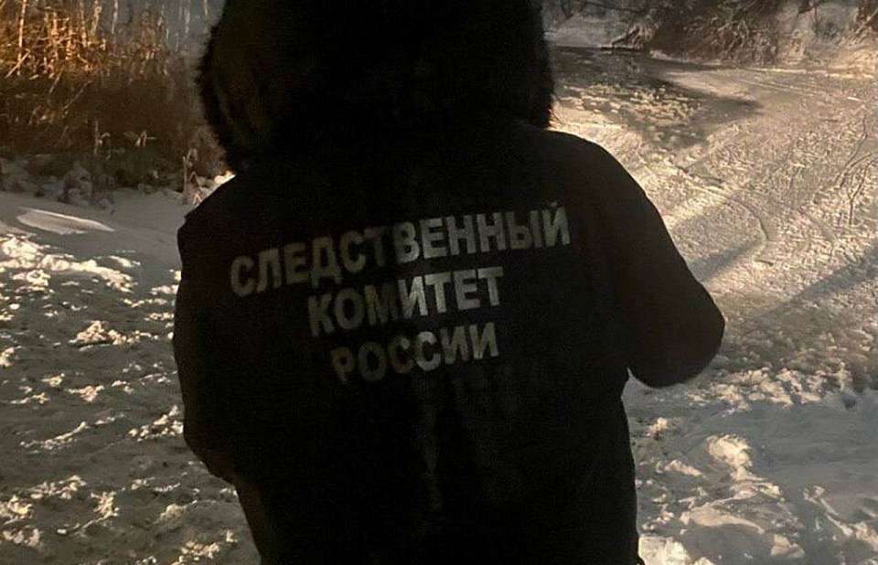 Двое детей провалились под лёд в селе под Воронежем и погибли