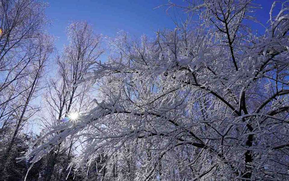 Мороз до -27 градусов ударит в Воронежской области