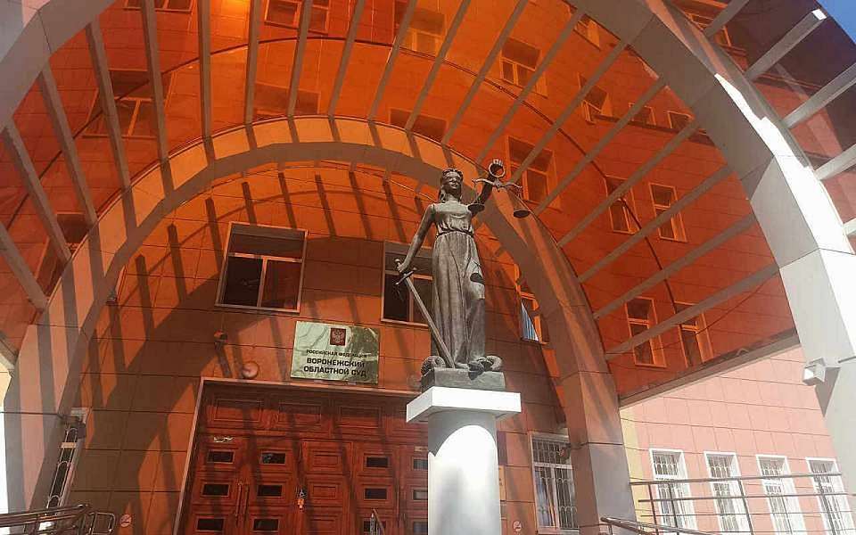 Стали известны претенденты на пост зампредседателя Воронежского областного суда