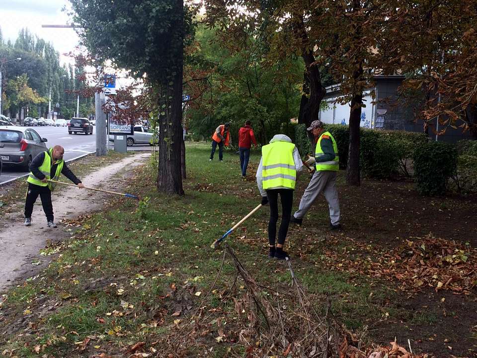 В Ленинском районе Воронежа состоялся очередной субботник