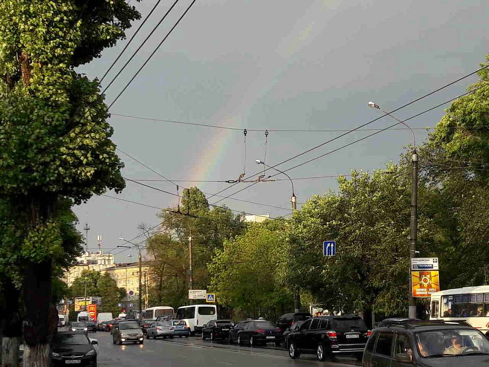 Похолодание до +9 пришло в Воронежскую область в выходные