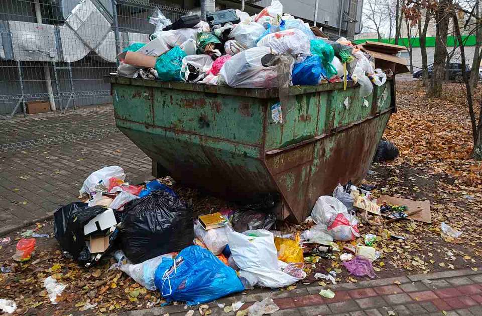 Ликвидация свалок в Воронеже: ГЖИ отреагировала на обращения жителей