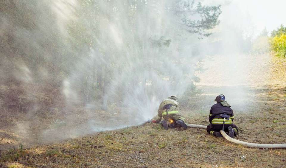 В связи с пожаром в воронежском Дивногорье материалы дела переданы в полицию