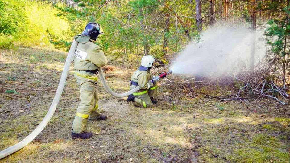 В 17 районах Воронежской области установлен высокий уровень пожароопасности