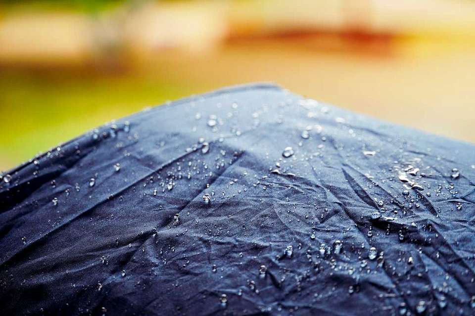 Дожди и заморозки останутся в Воронежской области в воскресенье, 27 апреля