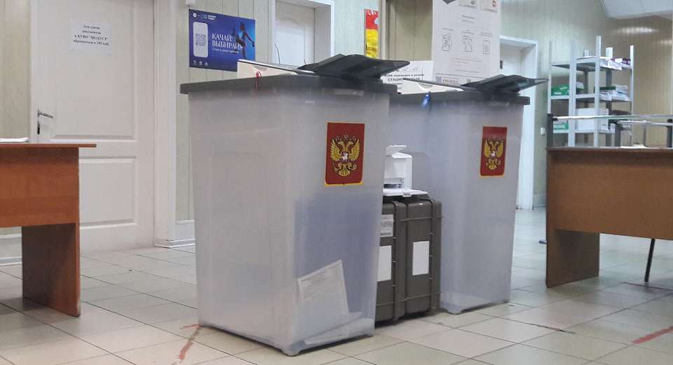 За голосованием в Воронежской области будут следить 7,4 тыс. наблюдателей