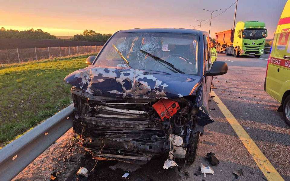 Пятеро детей пострадали в ДТП с участием микроавтобуса на трассе М-4 «Дон» в Воронежской области
