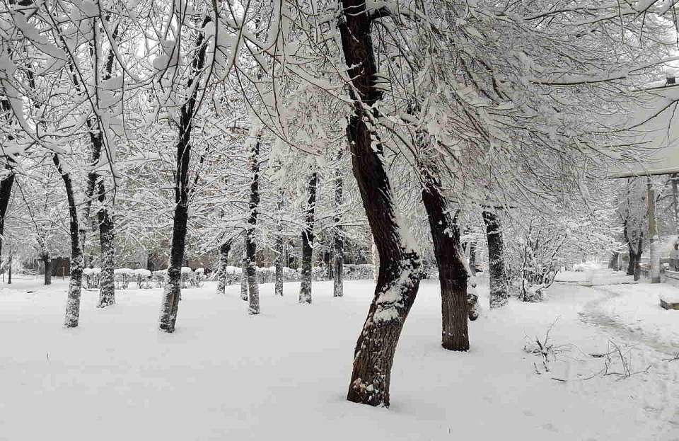 Устойчивый снежный покров сформируется в Воронежской области в конце декабря