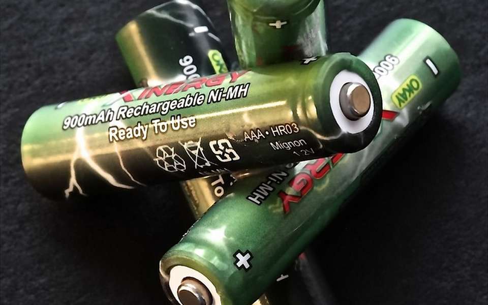 В Ленинском районе дети помогают сохранять природу