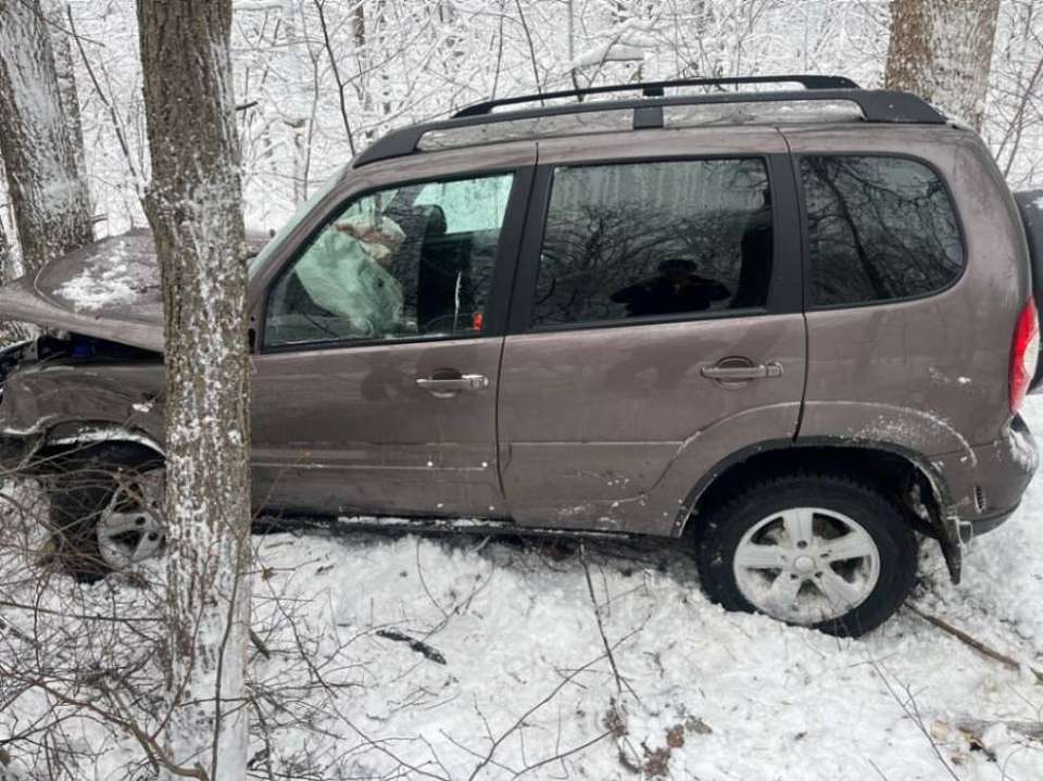 Автомобилистка попала в больницу после ДТП с деревом на заснеженной воронежской трассе