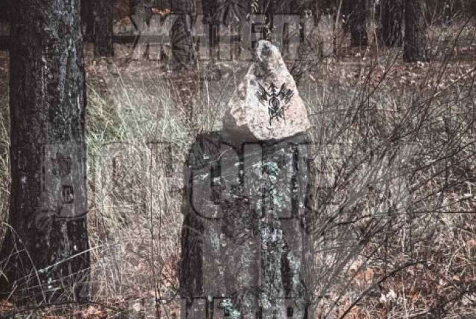 Воронежцев напугали загадочные символы на камне в лесу