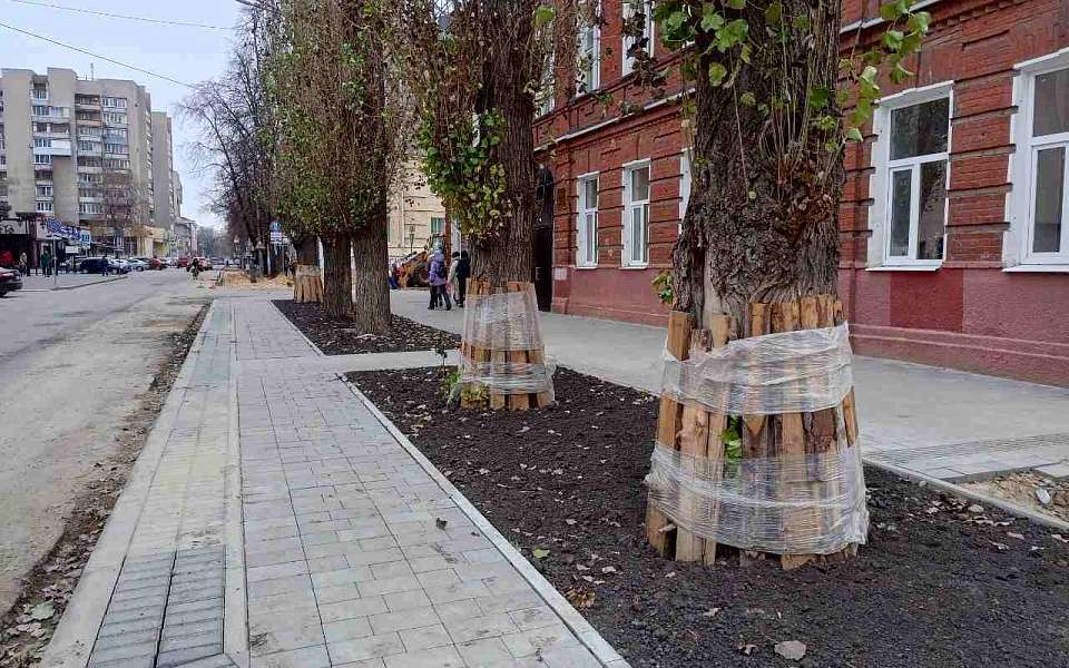 В Ленинском районе формируют газоны по новой технологии 