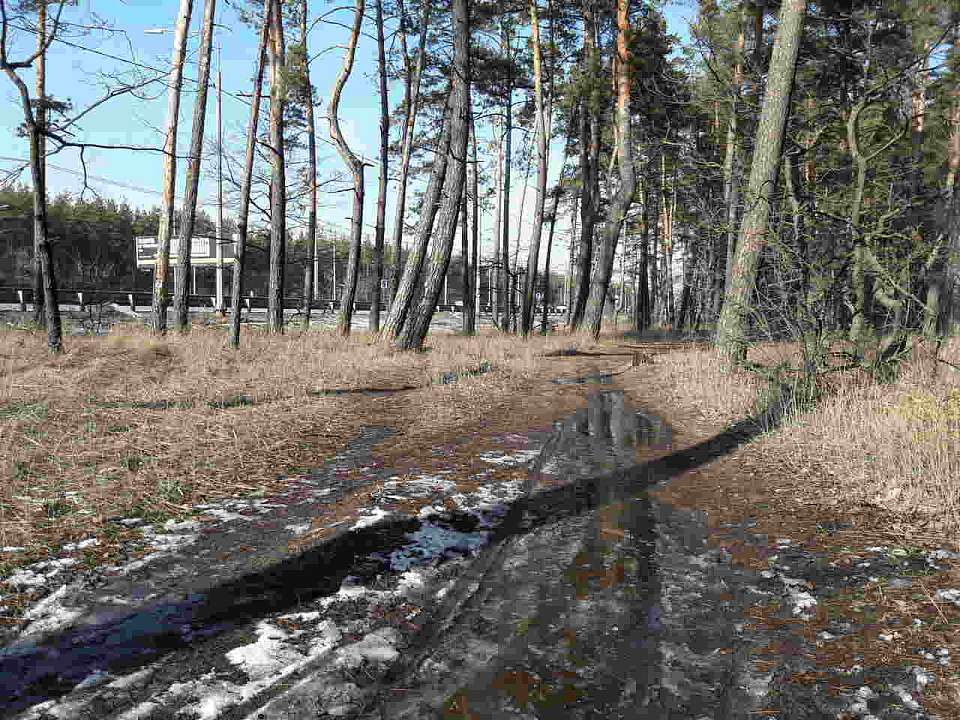 Потепление до +8 градусов ожидается к концу недели в Воронежской области