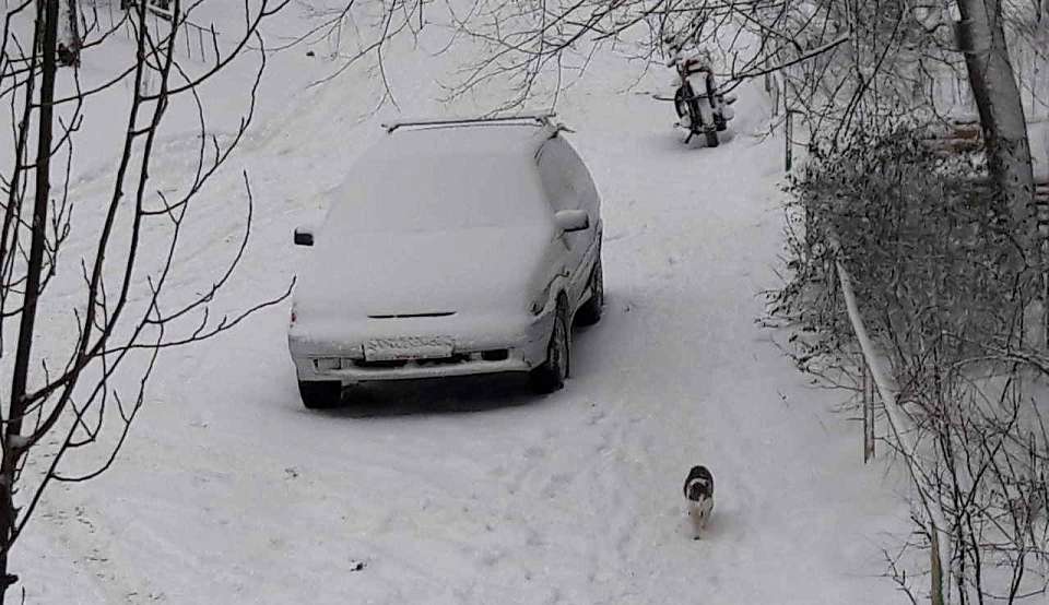 Неблагоприятные погодные условия ожидаются в Воронежской области