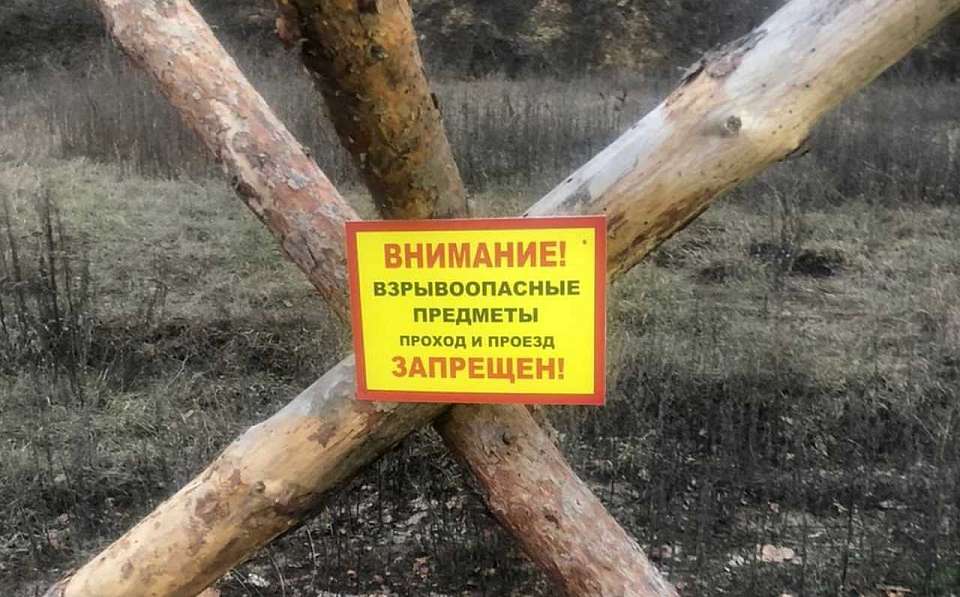 Прогулки в лесах из-за взрывоопасных предметов запретили в районе Воронежской области
