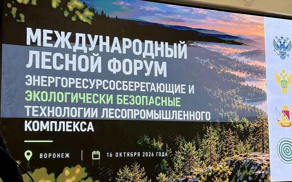 Международный лесной форум FORESTRY-2026 принимает ВГЛТУ