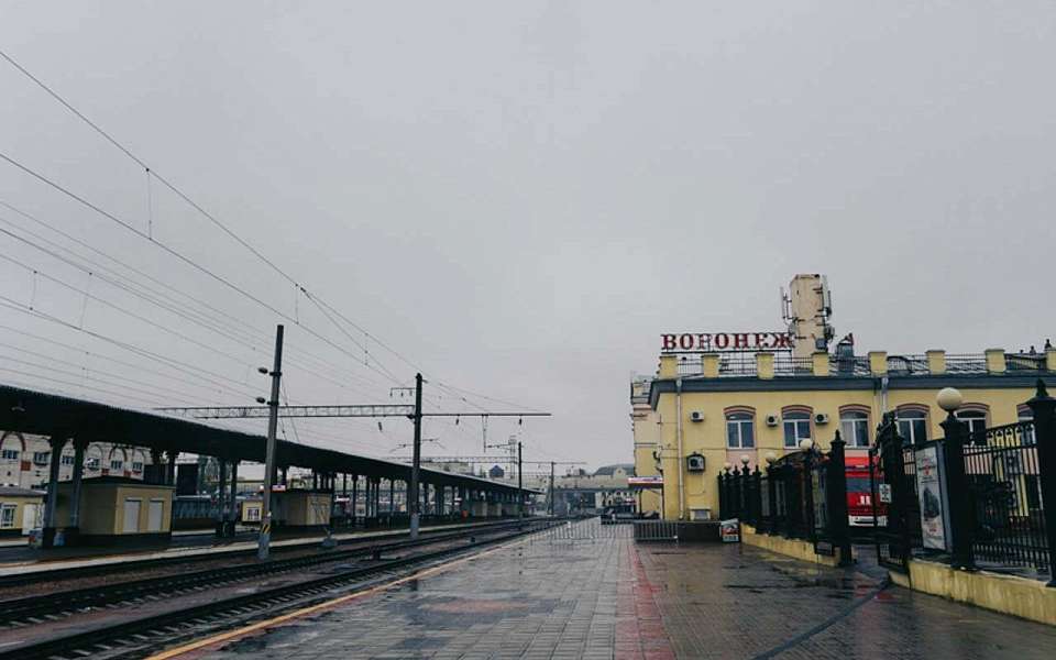 Отменили скоростные поезда из Воронежа в Москву