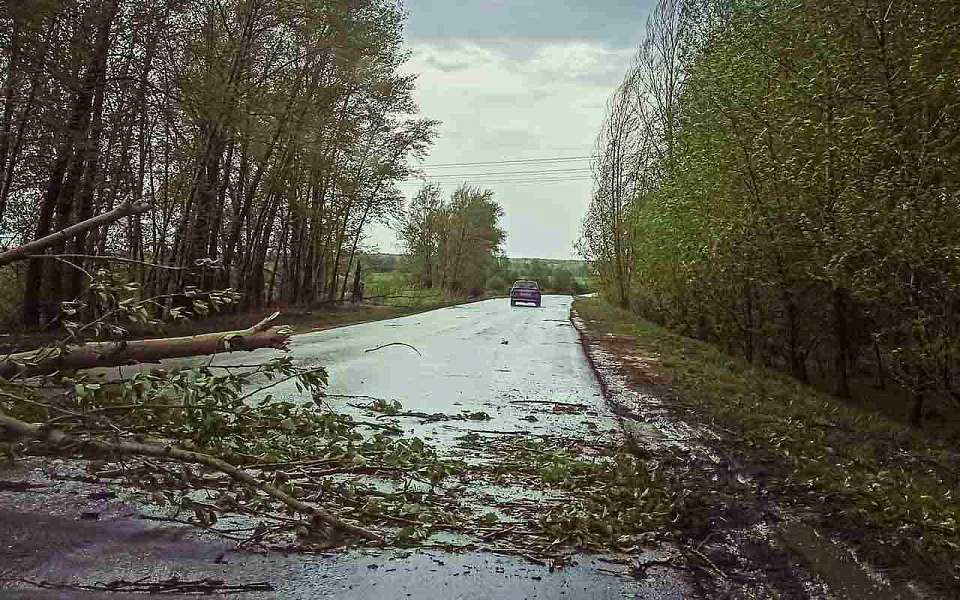 Об опасной погоде в субботу, 21 июня, предупредил воронежцев Гидрометцентр