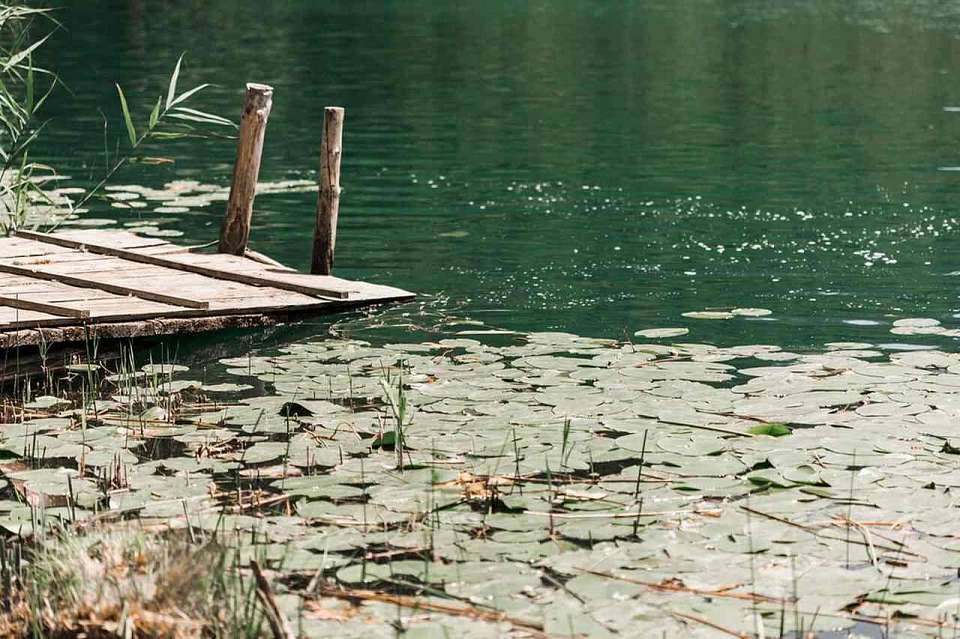 В пруду совхоза «Воронежский» утонул 11-летний мальчик