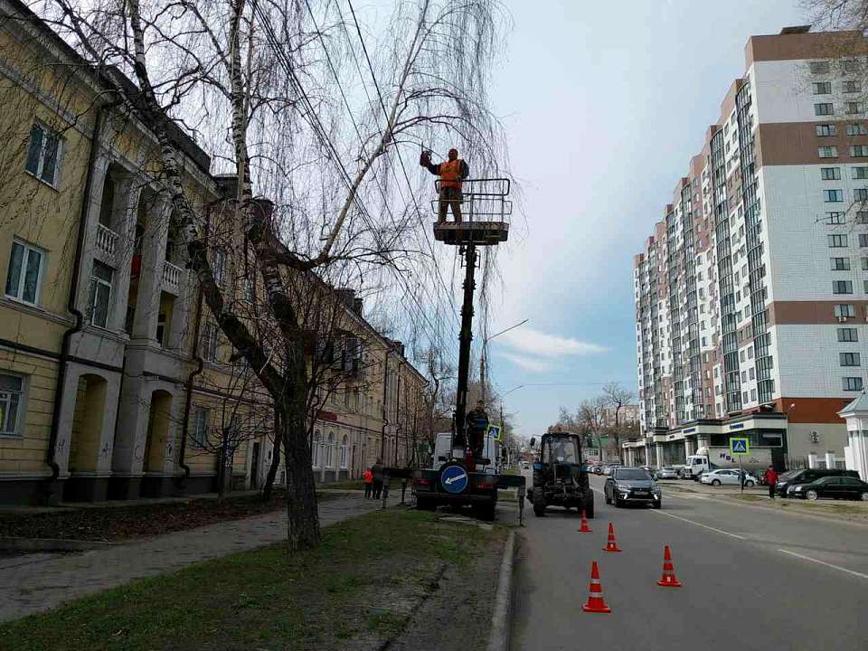 Комбинат благоустройства Железнодорожного района проводит удаление аварийных деревьев