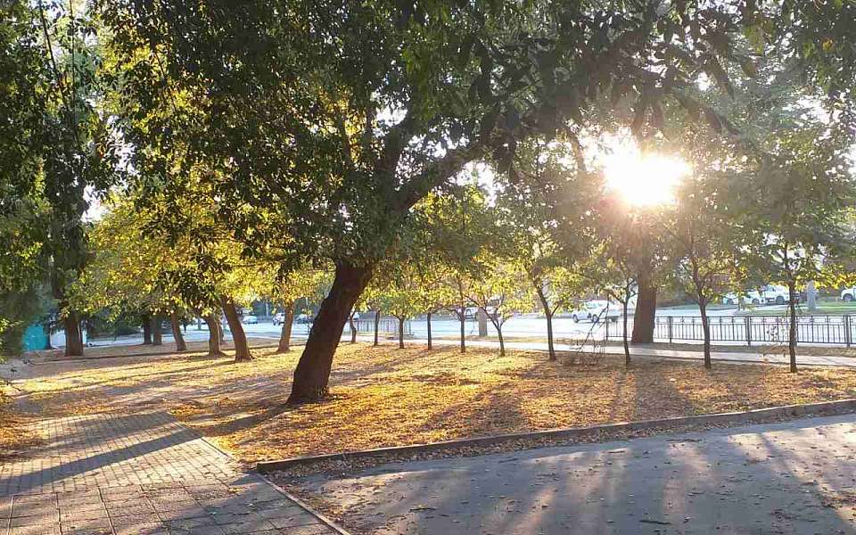 О погоде на пятницу, 27 сентября, рассказали воронежские синоптики