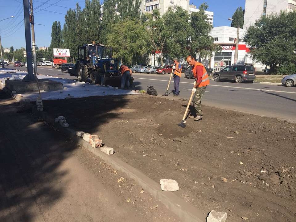           В Коминтерновском районе проходит масштабное устройство газонов