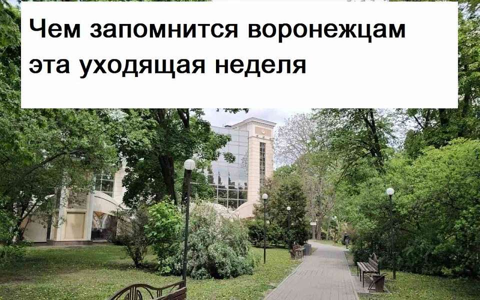 Чем запомнилась в Воронеже неделя с 31 июля по 7 августа