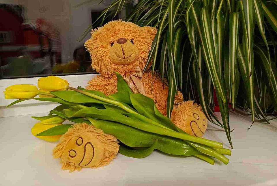 Музыкальные композиции вместо звонков прозвучат в воронежских школах перед 8 Марта