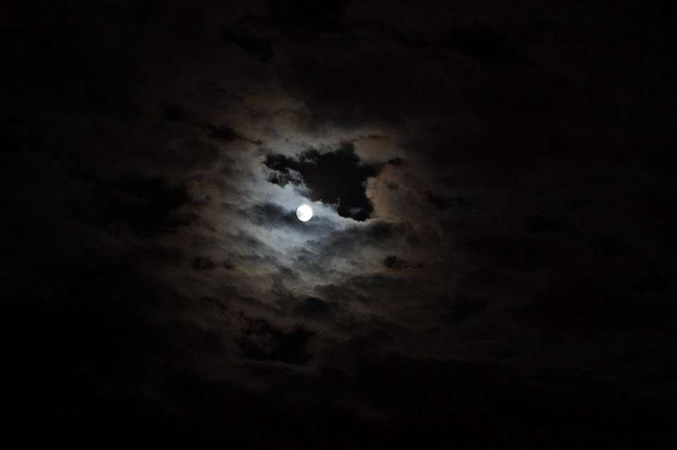 Беспилотную опасность сняли утром 2 марта в Воронежской области