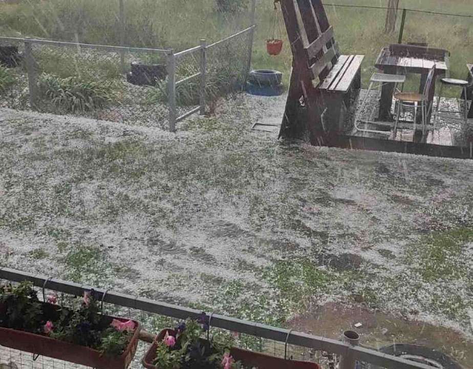 Сильный град побил урожай в ряде районов Воронежской области и попал на видео