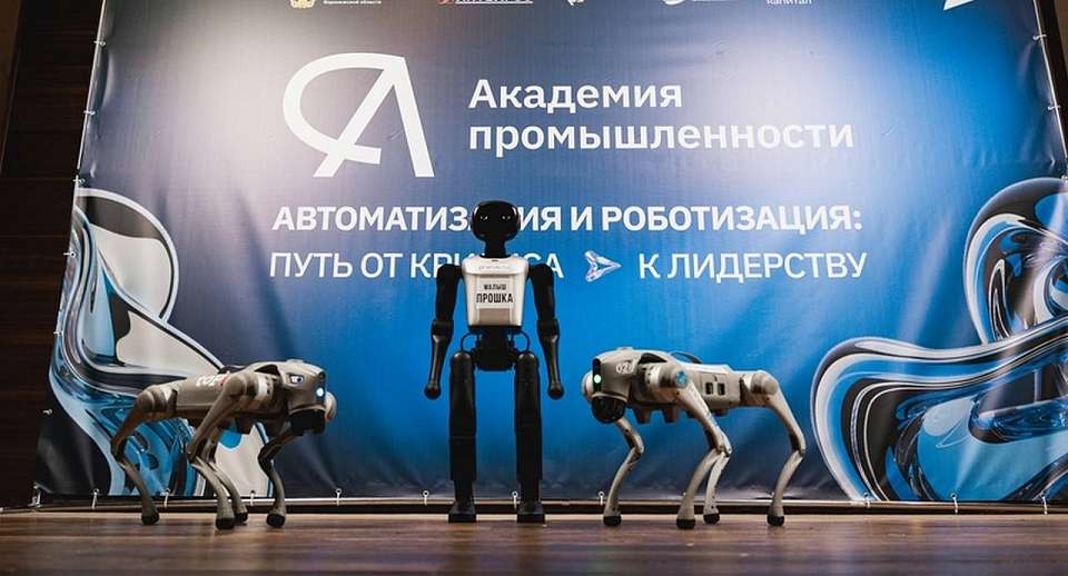Воронежская область разрабатывает закон о роботизации для промышленной конкурентоспособности